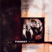 Divided - Tiamat
