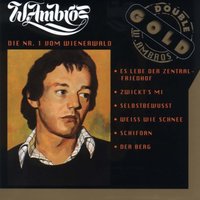 Schaffnerlos - Wolfgang Ambros