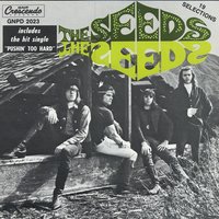 It's A Hard Life - The Seeds
