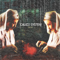 A Heap of Broken Images - Calico System