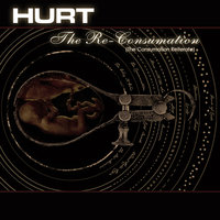 The Consumation - Hurt