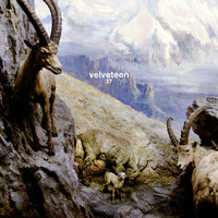 Escape Plans - Velveteen