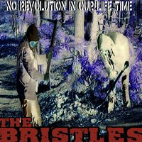 No Revolution in Our Life Time - The Bristles