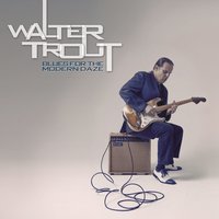 Saw My Mama Cryin - Walter Trout