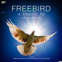 Free Bird - Ameritz Tribute Club