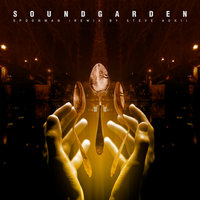 Spoonman - Soundgarden, Steve Aoki