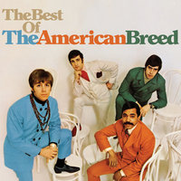 Anyway That You Want Me - The American Breed