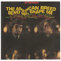Green Light - The American Breed