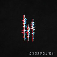 Hearts - Roses & Revolutions