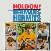 Leaning on the Lamp Post - Herman's Hermits