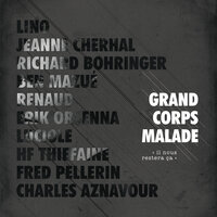 Les années lumières - Grand Corps Malade, Fred Pellerin