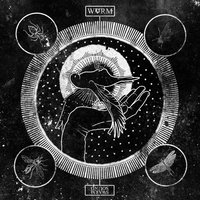 Demoness - WVRM