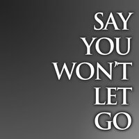 Say You Wont Let Go - Zane Jayson Johns