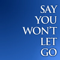Say You Won't Let Go - Zane Jayson Johns