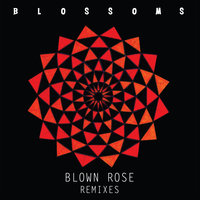 Blown Rose - Blossoms, Alan Braxe