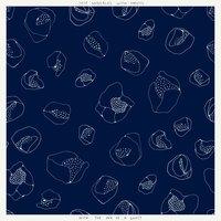 With the Ink of a Ghost - José González, YMusic