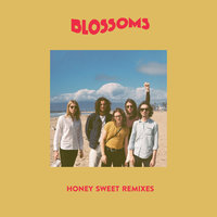 Honey Sweet - Blossoms, Dan Croll