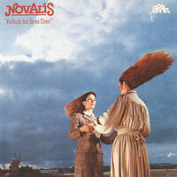 Der Geigenspieler - Novalis