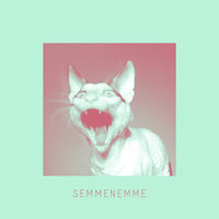 Semmenemme - Silja Sol