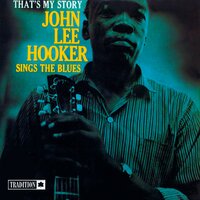 I Feel Good - John Lee Hooker