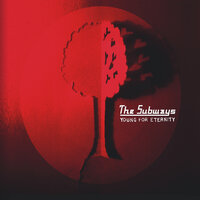 At 1AM - The Subways