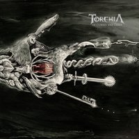 Headshot - Torchia
