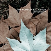 Authenticity - The Foreign Exchange