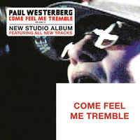 Never Felt Like This Before - Paul Westerberg