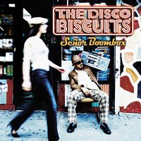 Jigsaw Earth - The Disco Biscuits
