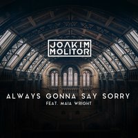 Always Gonna Say Sorry - Joakim Molitor, Maia Wright