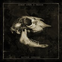 The Distant Chaos - Curse Upon A Prayer