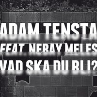 Vad ska du bli? - Adam Tensta, Nebay Meles