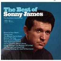 I'll Keep Holding On (Just To Your Love) - Sonny James