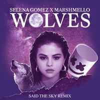 Wolves - Selena Gomez, Marshmello, Said the Sky