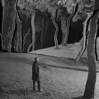 HOGDY - Can Güngör