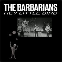 Hey Little Bird - The Barbarians