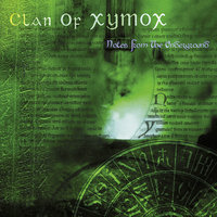 Something's Wrong - Clan Of Xymox