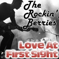 Do You Believe in Love at First Sight? - The Rockin' Berries