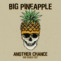 Another Chance - Big Pineapple, Don Diablo