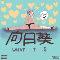 What It Is - Lil Kapow