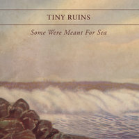 Just Desserts - Tiny Ruins