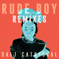 Rude Boy - Salt Cathedral, Robotaki