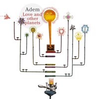 Love And Other Planets - Adem
