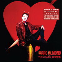 Pink Shack Blues - Marc Almond, The Willing Sinners