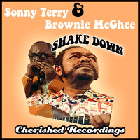Telephone Blues - Sonny Terry