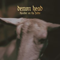 Thunder on the Fields - Demon Head