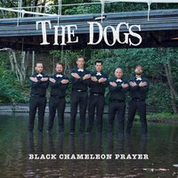 Anything You Don't Regret - The Dogs