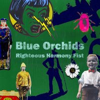 The Art Of Falling - Blue Orchids