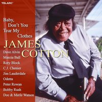 I Almost Lost My Mind - James Cotton