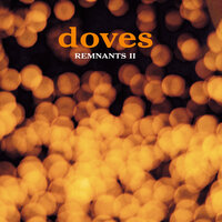 Brazil - Doves